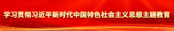 美国骚逼学习贯彻习近平新时代中国特色社会主义思想主题教育